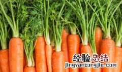 冬季时令蔬菜大全 冬季时令蔬菜有哪些