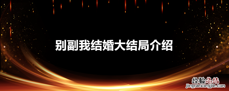 别副我结婚大结局介绍