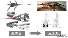 swimfin泳鳍哪里卖