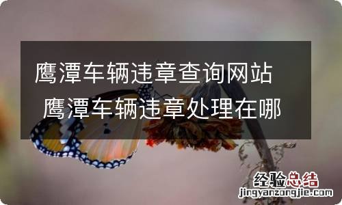 鹰潭车辆违章查询网站 鹰潭车辆违章处理在哪