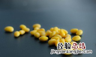 干黄豆不泡可以打豆浆吗怎么做 干黄豆不泡可以打豆浆吗