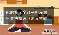 米其林轮胎扎了个钉子但没漏气要拔掉吗 轮胎扎了个钉子但没漏气要拔掉吗