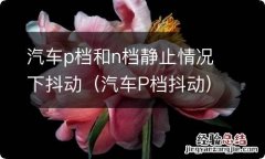 汽车P档抖动 汽车p档和n档静止情况下抖动