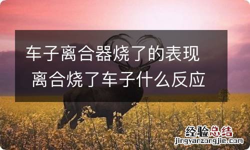 车子离合器烧了的表现 离合烧了车子什么反应