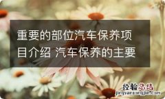 重要的部位汽车保养项目介绍 汽车保养的主要项目