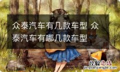 众泰汽车有几款车型 众泰汽车有哪几款车型