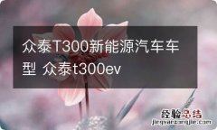 众泰T300新能源汽车车型 众泰t300ev