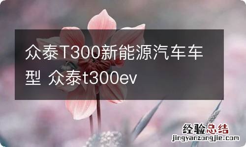 众泰T300新能源汽车车型 众泰t300ev