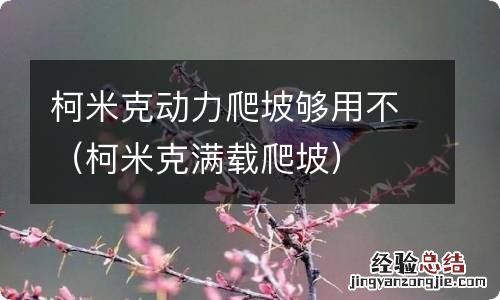 柯米克满载爬坡 柯米克动力爬坡够用不