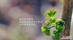 付出与收获的优美句子