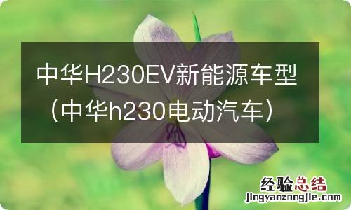 中华h230电动汽车 中华H230EV新能源车型