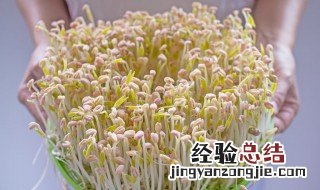 豆芽怎么发最快又好 豆芽发芽最快方法