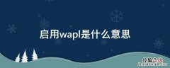 启用wapl是什么意思