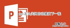 ppt怎么关闭自动播放下一张