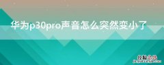 华为p30pro声音怎么突然变小了