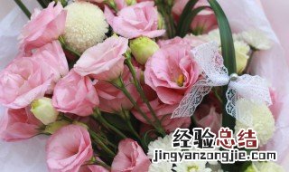 粉色桔梗花的花语 粉色桔梗花的花语是什么意思