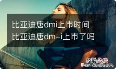 比亚迪唐dmi上市时间 比亚迪唐dm-i上市了吗