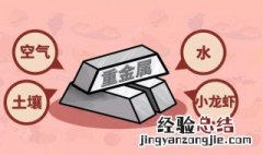 什么是重金属中毒 什么是重金属