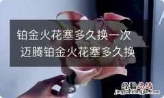 铂金火花塞多久换一次 迈腾铂金火花塞多久换一次