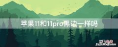 iPhone11和11pro黑边一样吗