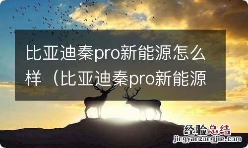 比亚迪秦pro新能源怎么样值得买吗 比亚迪秦pro新能源怎么样