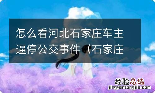 石家庄公交车失控 怎么看河北石家庄车主逼停公交事件