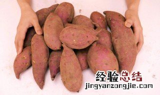 红薯怎么保存好 保存红薯的4种方法