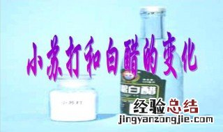 醋和小苏打水实验原理 白醋加小苏打汽水实验原理
