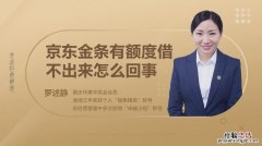 为什么京东金条有额度却无法提供服务