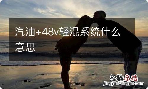 汽油+48v轻混系统什么意思