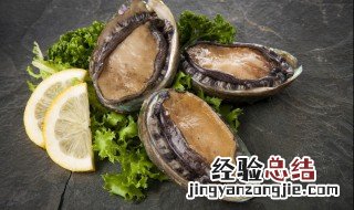 新鲜土鲍怎么清洗会干净 新鲜土鲍如何清洗会干净