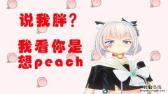 想peach是什么梗