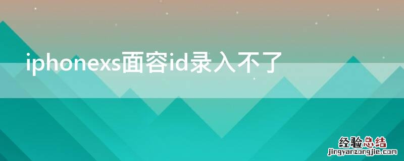 iPhonexs面容id录入不了