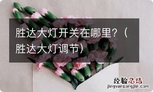 胜达大灯调节 胜达大灯开关在哪里?