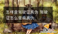 怎样查驾驶证真伪 驾驶证怎么查询真伪