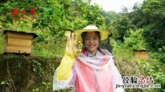 外面下着雨犹如我心血在滴什么歌