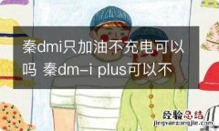 秦dmi只加油不充电可以吗 秦dm-i plus可以不充电吗