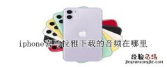 iphone喜马拉雅下载的音频在哪里