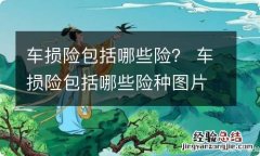 车损险包括哪些险？ 车损险包括哪些险种图片