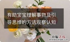 有助宝宝理解事物及引导思维的方法观察认知