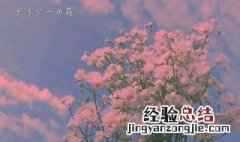 抖音爆火文案 抖音最火文案句子