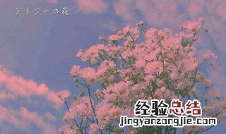 抖音爆火文案 抖音最火文案句子