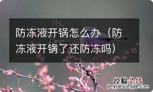 防冻液开锅了还防冻吗 防冻液开锅怎么办