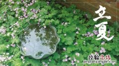 什么节气前后种瓜点豆