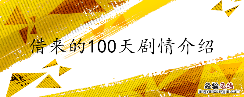 借来的100天剧情介绍