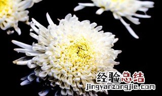老人走了朋友圈发什么 老人走了朋友圈发的内容精选