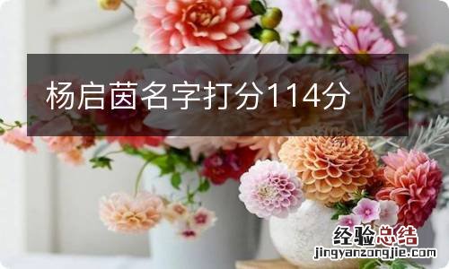 杨启茵名字打分114分