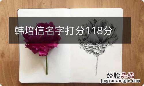 韩培信名字打分118分