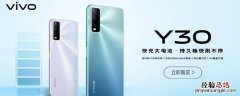 vivoy30标准版和vivoy30的区别