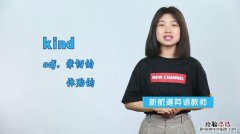 kind of什么意思啊